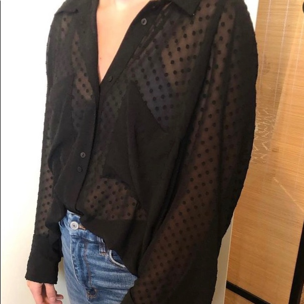 TRF Zara Sheer Blouse